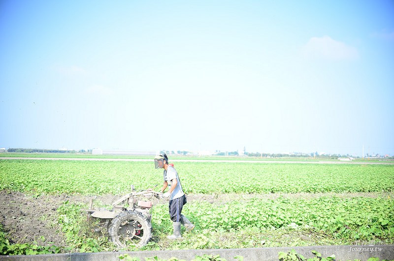 每一次低頭都是向土地致敬！體驗農人們的蕃薯精神_img_3
